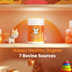 DNA PET grass-fed liver slices highlight nutrient-dense beef liver source.