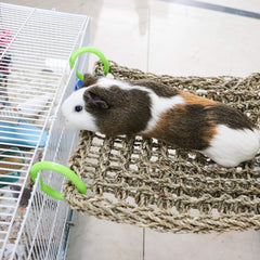 Dnoifne bird seagrass mat hammock-hooks demonstrates easy horizontal mounting for a swinging play area
