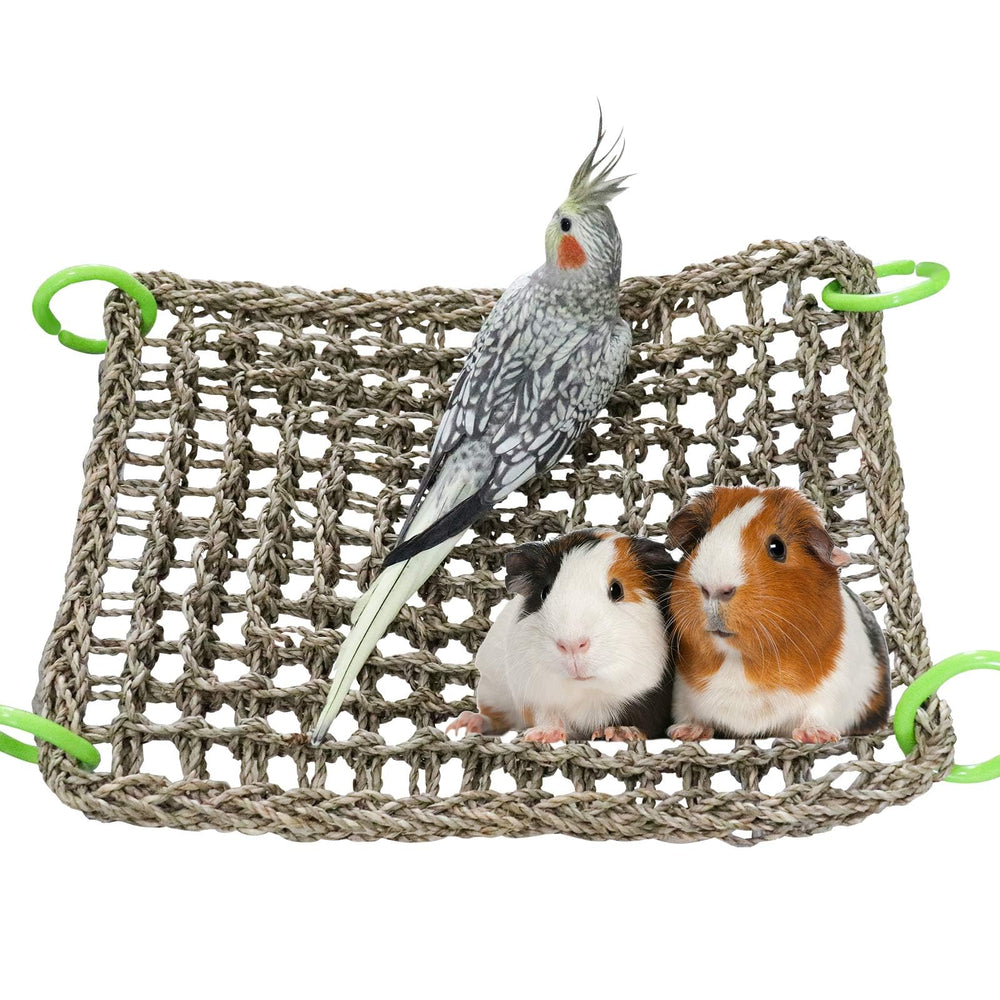 Dnoifne bird seagrass mat rectangle 15x12 inch provides a roomy perch for birds
