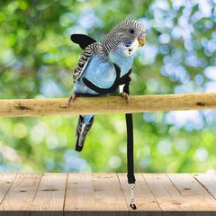 Dnoifne parrot harness adjustable strap ensuring a snug, comfortable fit.