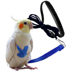 Dnoifne parrot harness blue closeup shows anti-bite nylon for safer outdoor wear.