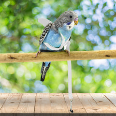 Dnoifne Parrot Harness white side view demonstrates comfortable body wrap.