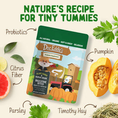 DOC EDDIE'S Digestive Bites fruit flavors apple and pumpkin attract pets and nourish.