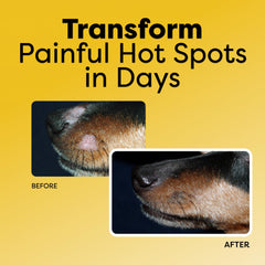 DocItchy Allergy Armor hot-spot cream tube ready for quick hotspot relief.
