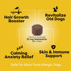 Doc Itchy hair-grow dog coat glow image suggests shinier fur