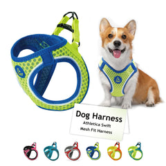 DOCO Athletica large lime harness front view with adjustable fit for comfort