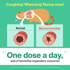 Doctor By Cat Breath lickable formula serving highlights quick, tasty administration for cats.