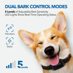 DOG CARE bark collar LED indicator showing training status for clear feedback
