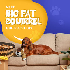 Dog Dog Squirrel plush toy with interior squeaker for interactive play
