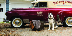 Dog Gone Smart Dirty Dog Shammy elastic-wrist design seen for secure grip during drying.