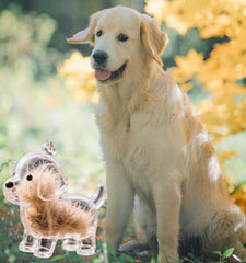 Dog Hair Collector Keychain secure clasp protects the contents.