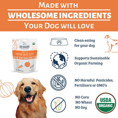 Dog Mamma's Organic Pumpkin Snaps tender texture close-up, easy-to-chew for dogs.