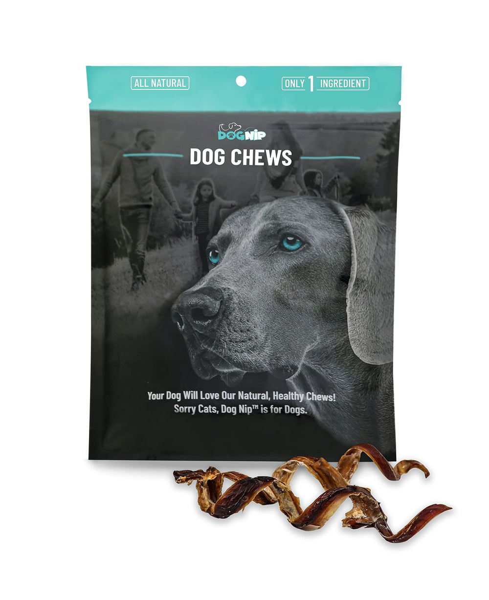 Dog Nip 6-inch Pork Spring Bully Sticks 12-pack offer satisfying chew and potential dental support.
