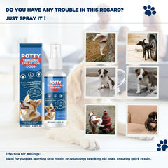 Dog Potty Training Spray used on carpets for consistent indoor training.