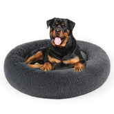 DogBaby donut bed front view showcases calming round plush design for cozy lounging.