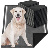 Dogcator Charcoal Puppy Pads pack-front 30-count for crate training
