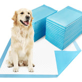 Dogcator 30x36 extra large pee pad front view highlights oversized training surface for large dogs