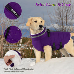 Dogcheer adjustable back and underside straps ensure snug fit.