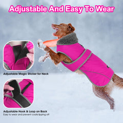 Dogcheer dog coat reflective strips for safer night walks