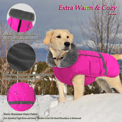 Dogcheer warm dog coat back view with reflective strips for night safety.