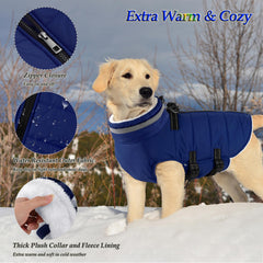 Dogcheer warm fleece-lined coat keeps dogs cozy in chilly outings.