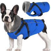 Dogcheer waterproof dog coat with harness back view keeps your pup dry on outdoor adventures.