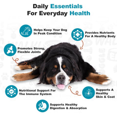 Doggie Dailies Omega-rich salmon oil image highlighting glossy skin and coat