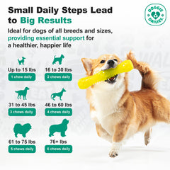 Doggie Dailies palatability tests—dogs happily accept the supplement.