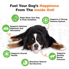 Doggie Dailies probiotics pumpkin chews pile highlights chewy texture for easy administration
