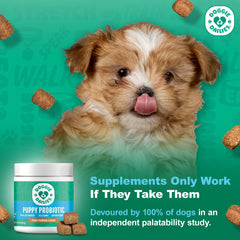 Doggie Dailies Puppy Probiotic chews closeup highlights tasty palatability for dogs.
