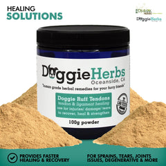 Doggie Herbs dog mobility scene emphasizes improved movement confidence.