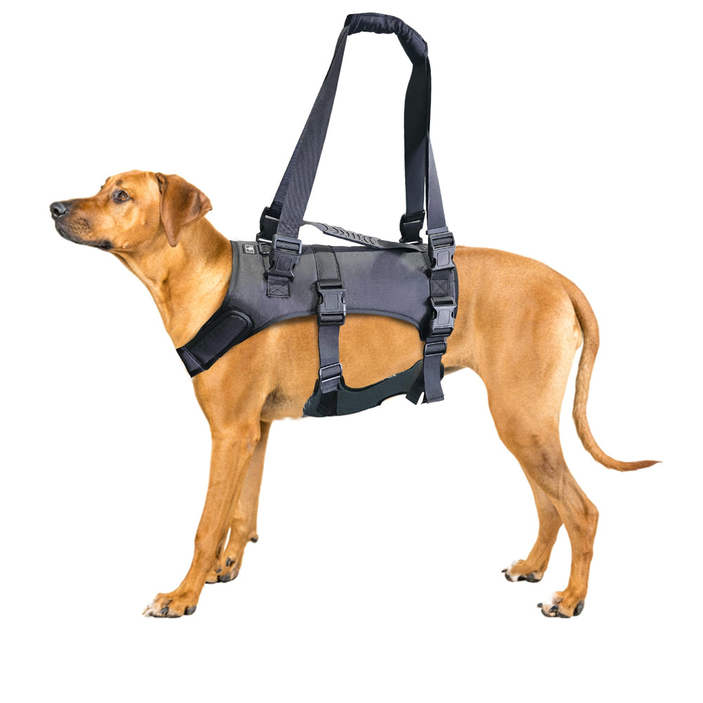 Doggie Stylz Lift Harness - apoyo-cuerpo: mejora movilidad y seguridad al levantarse.