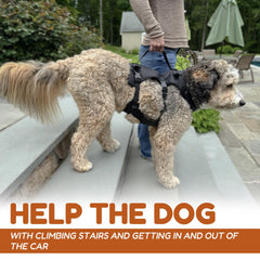 Doggie Stylz Lift Harness - uso-diario: comodidad continua durante todo el día.
