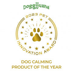 Dog relaxes on a soft bed after using Doggijuana Juananip.