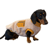 doggystar dachshund sweater front view boosts cozy warmth during strolls