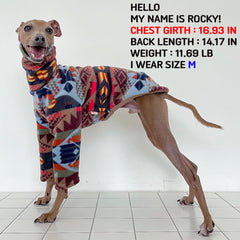 Doggystar polar-geometry iggy-turtleneck-sweater aids snug fit for autumn walks.