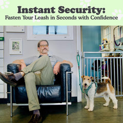 Doghook Canine Hitch wall-mount stainless secures outdoor leash parking.