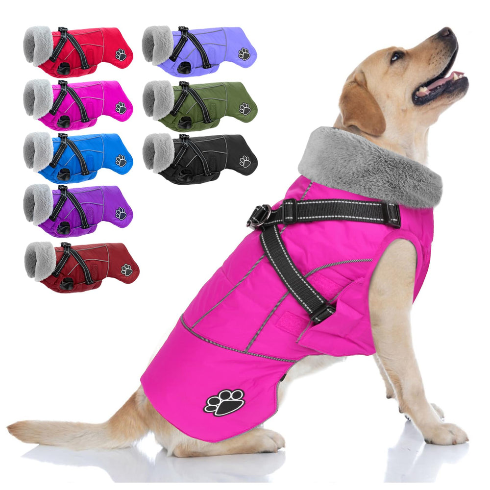 Doglay dog coat with built-in harness shown during safe on-leash walks