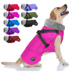 Doglay dog coat with built-in harness shown during safe on-leash walks
