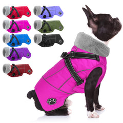 Doglay Dog Coat with Harness front view shows secure, adjustable fit for daily walks.