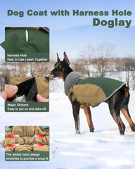 Doglay reflective stripes boost visibility during evening walks.