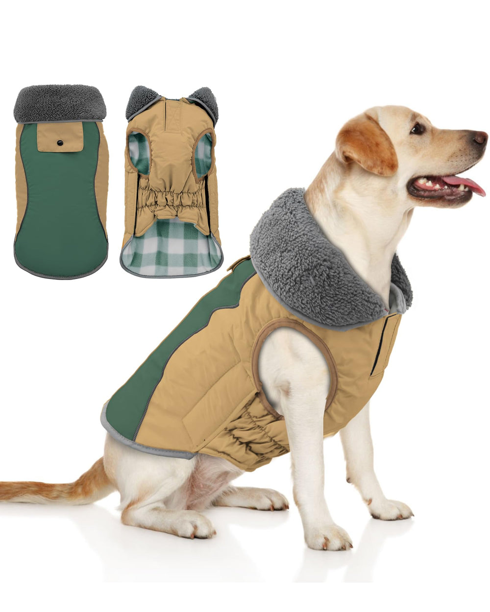 Doglay waterproof dog jacket coat keeps dogs dry on walks.