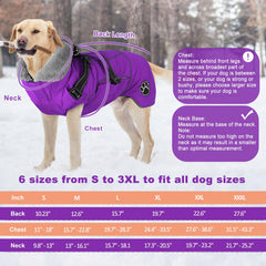 Doglay coat with reflective stripes enhances night visibility