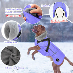 Doglay coat with reflective stripes for better night visibility during walks