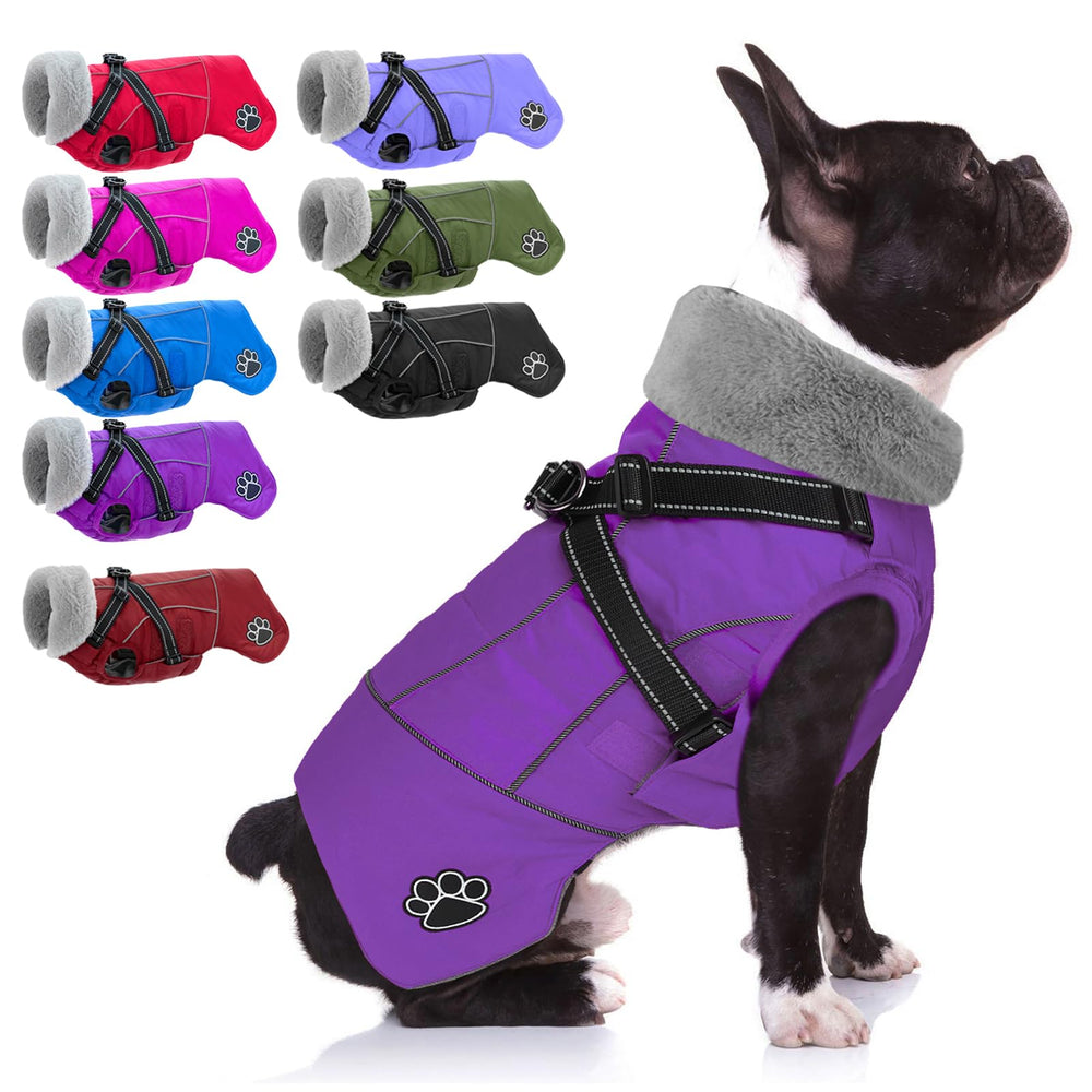 Doglay waterproof dog jacket keeps your pup dry on rainy walks