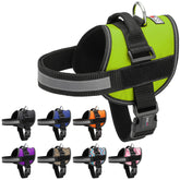 Dogline harness with reflective no-pull design improves nighttime visibility.