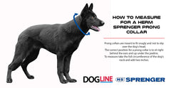 Dogline Herm Sprenger swivel attachment closeup demonstrating leash swivel.