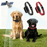 DOGOITM wireless dog fence front view demonstrates quick setup for safe outdoor play.