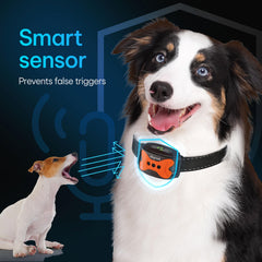 DogRook customizable vibration and sound modes support progressive training without shocks.