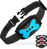 DogRook dog bark collar on a dog for gentle, no-shock training.